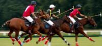 Introduction to Polo in Berkshire